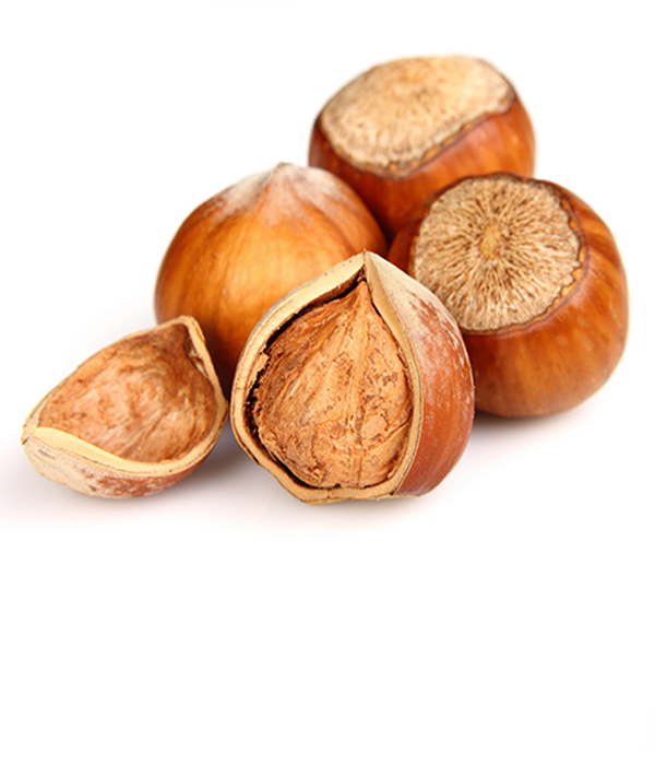 Haselnuss in der Schale